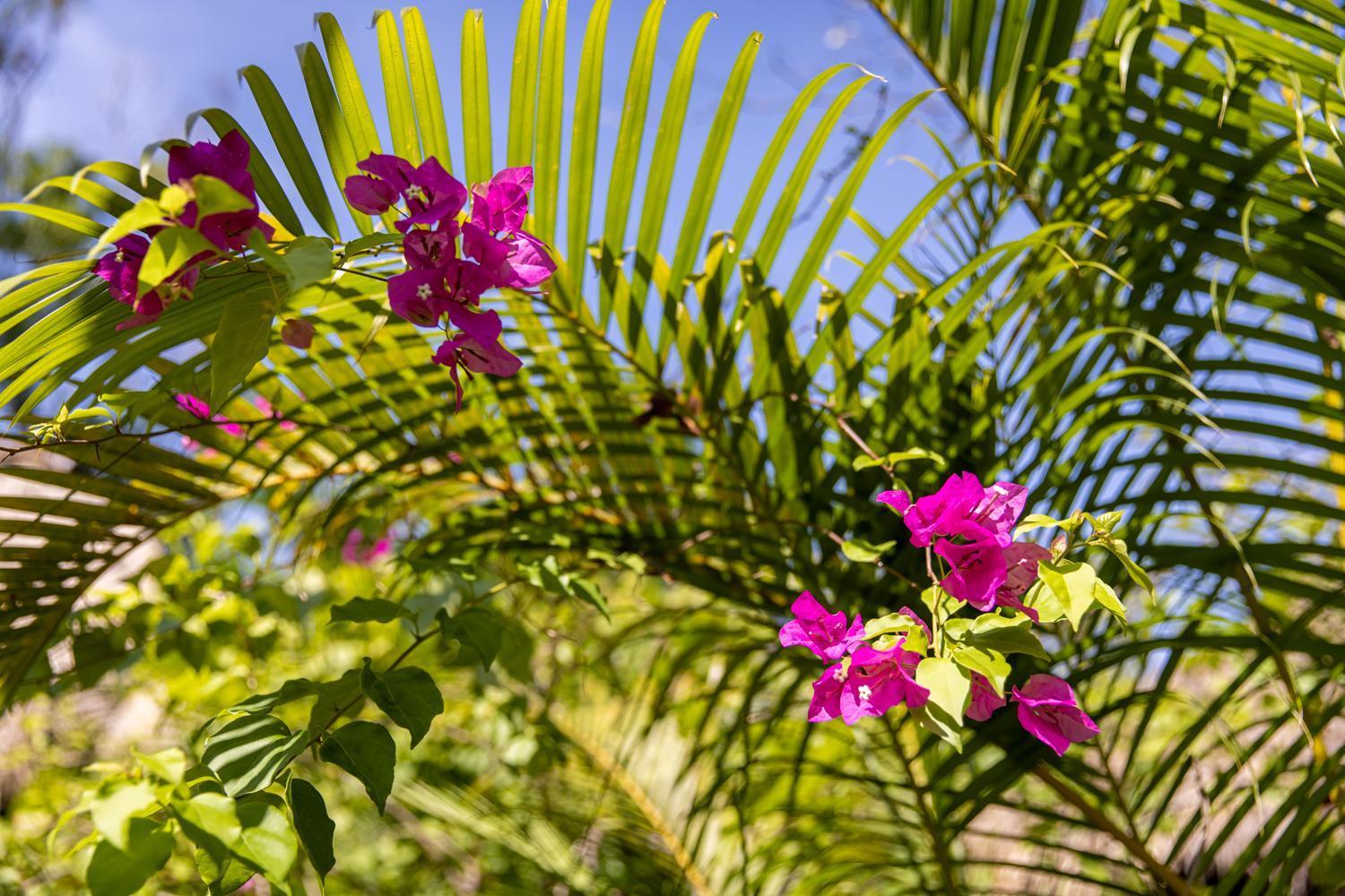 Kampot Cabana Buitenkant foto